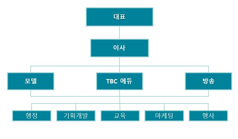아나피치조직도